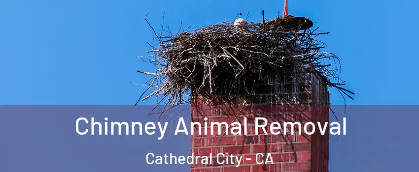 Chimney Animal Removal Cathedral City - CA